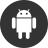 icon 21.0